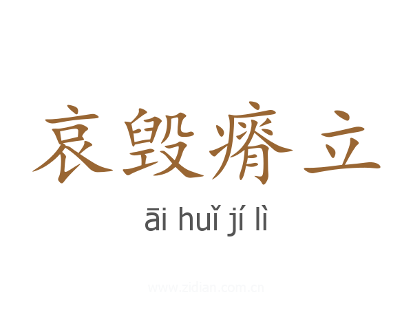 哀毁瘠立