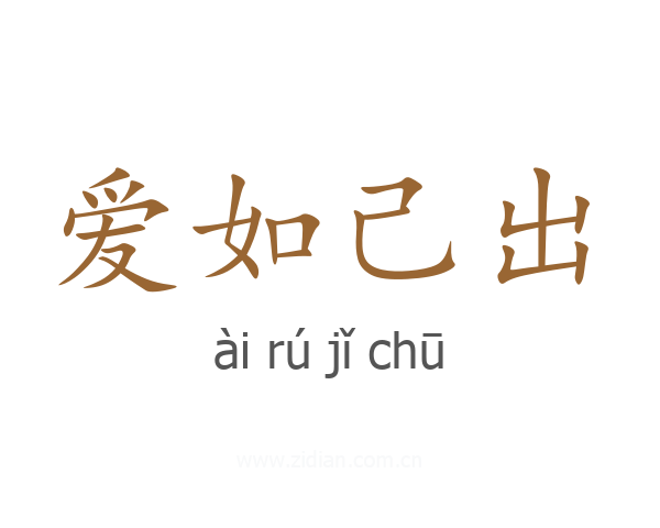 爱如己出