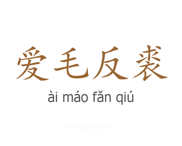 爱毛反裘