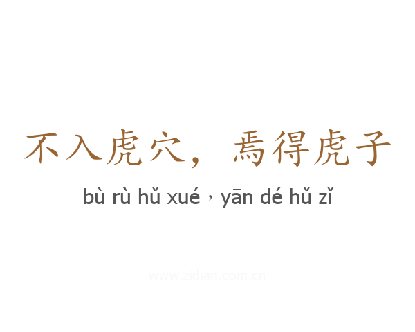 不入虎穴,焉得虎子