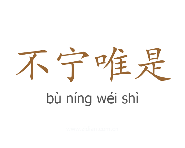 不宁唯是