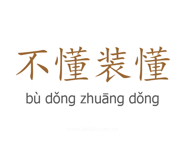不懂装懂