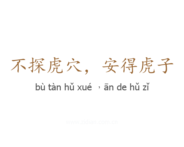 不探虎穴,安得虎子