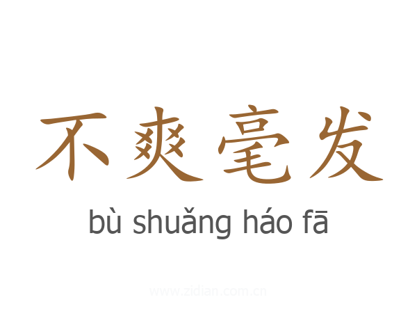 不爽毫发