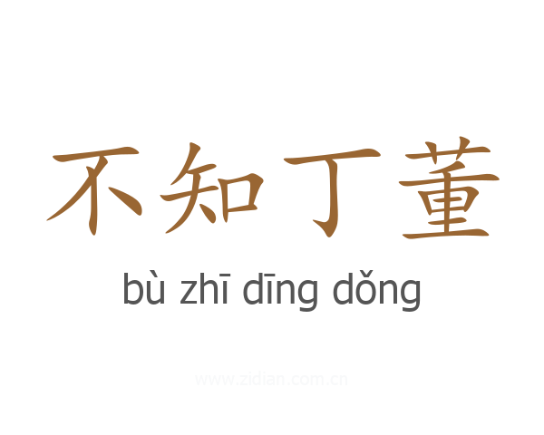 不知丁董