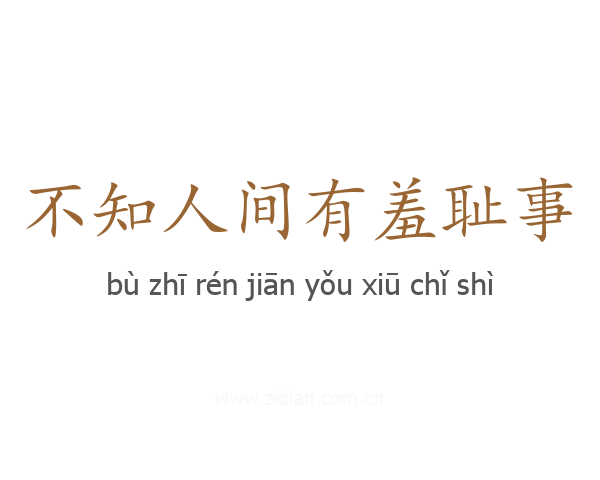 不知人间有羞耻事