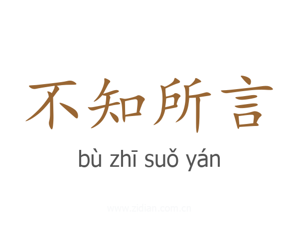 不知所言