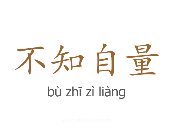 不知自量