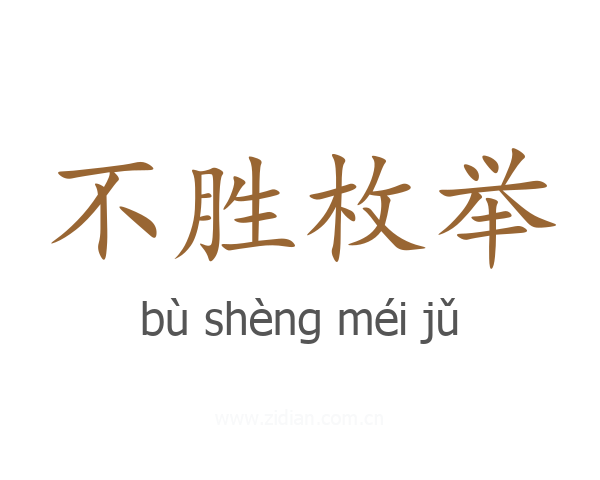 不胜枚举