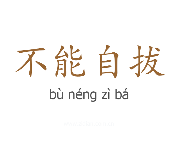 不能自拔