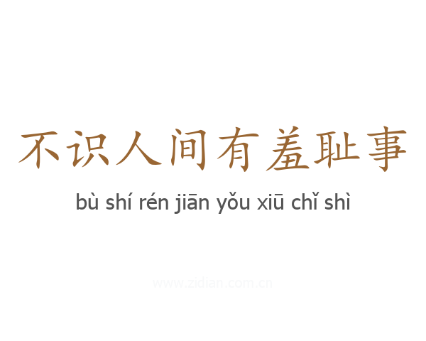 不识人间有羞耻事