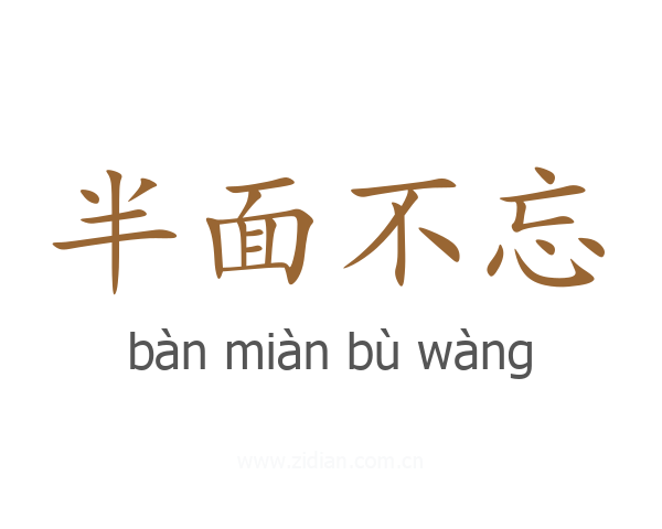 半面不忘