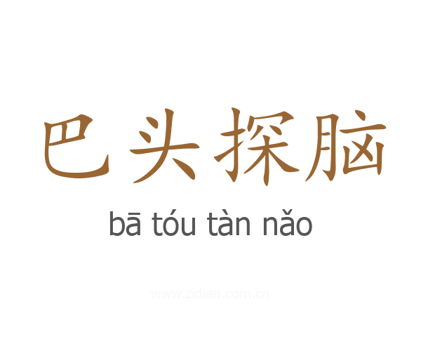 巴头探脑