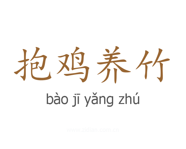 抱鸡养竹