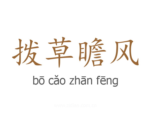 拨草瞻风