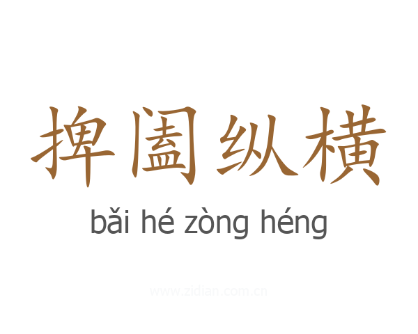 捭阖纵横