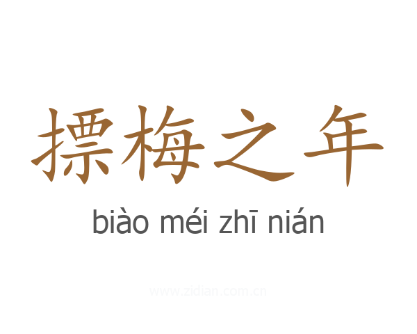 摽梅之年