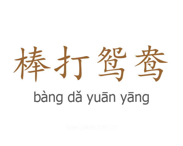 棒打鸳鸯