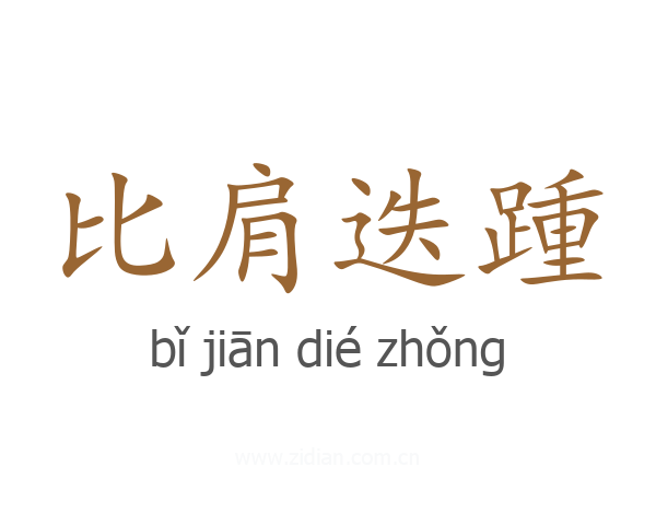 比肩迭踵
