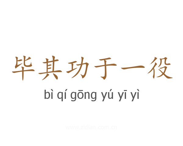 毕其功于一役