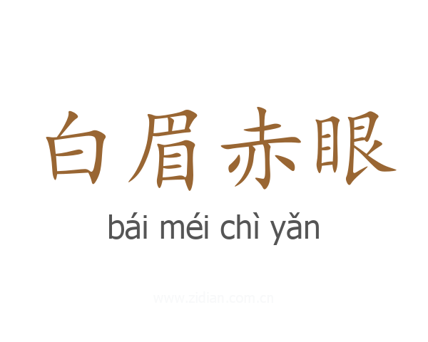 白眉赤眼