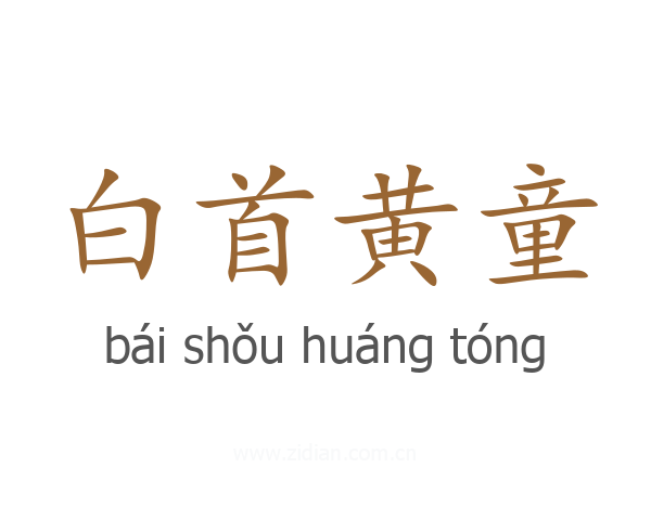 白首黄童