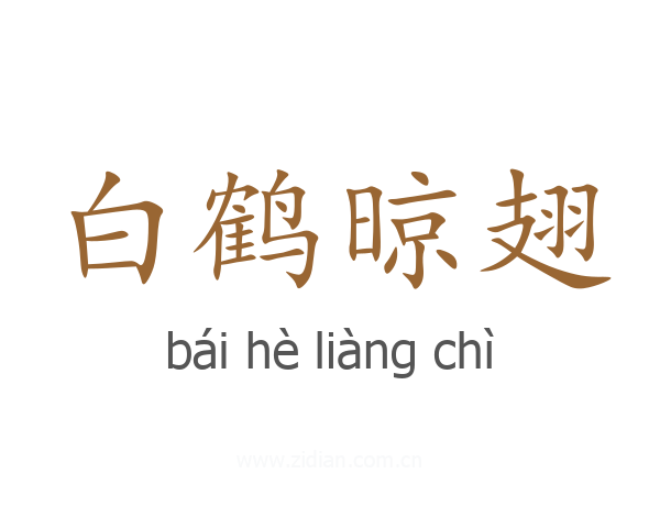 白鹤晾翅