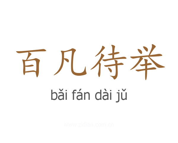 百凡待举