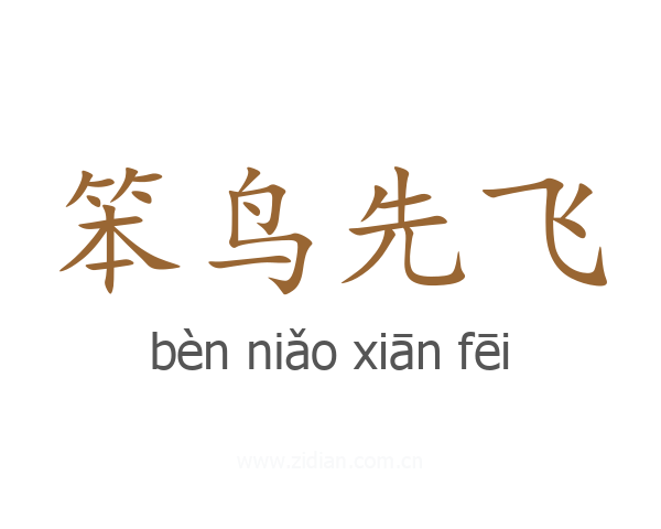 笨鸟先飞