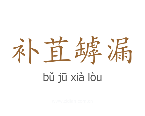 补苴罅漏
