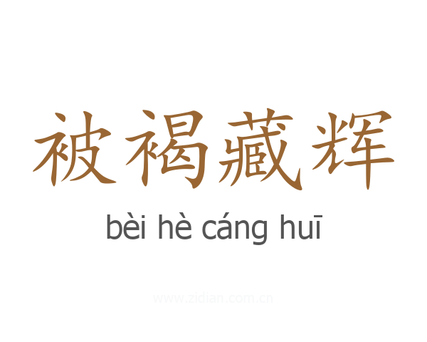 被褐藏辉
