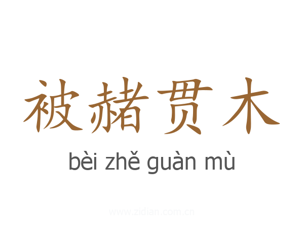 被赭贯木