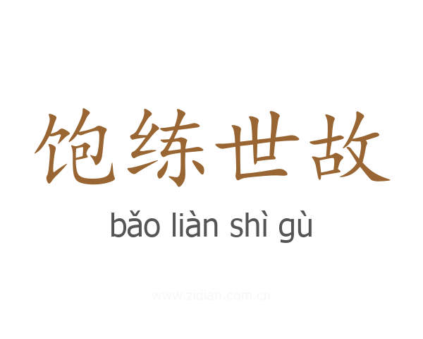 饱练世故