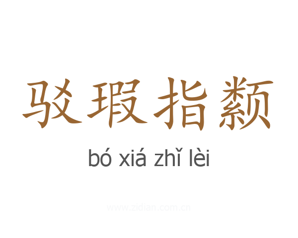 驳瑕指颣