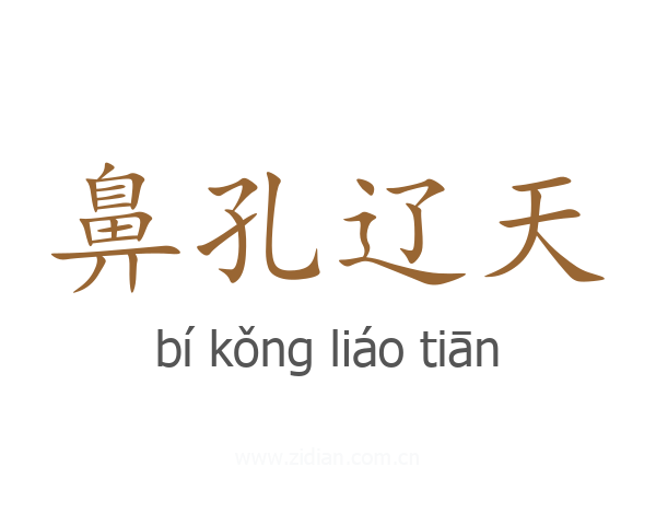 鼻孔辽天