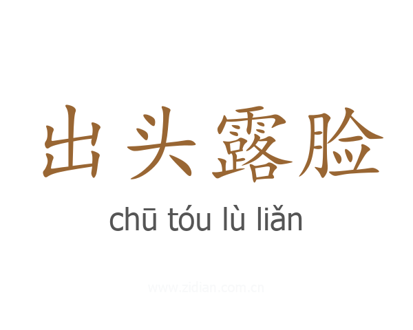 出头露脸