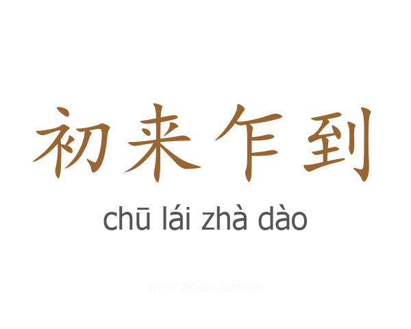 初来乍到