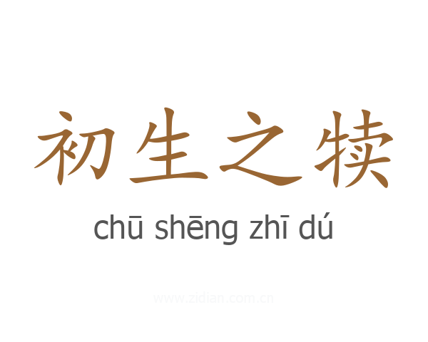 初生之犊