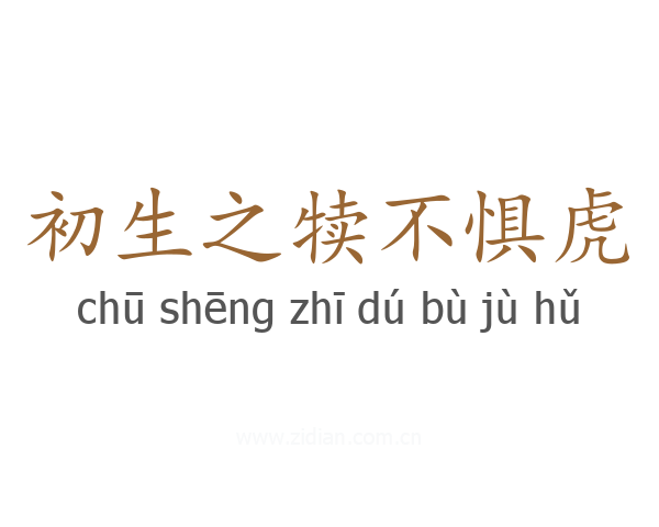 初生之犊不惧虎