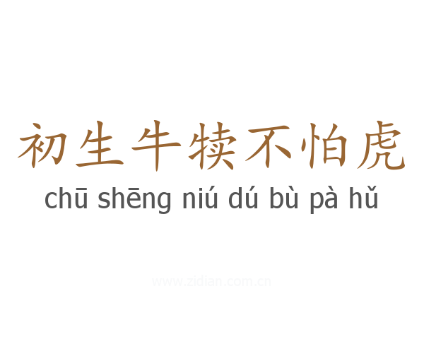 初生牛犊不怕虎