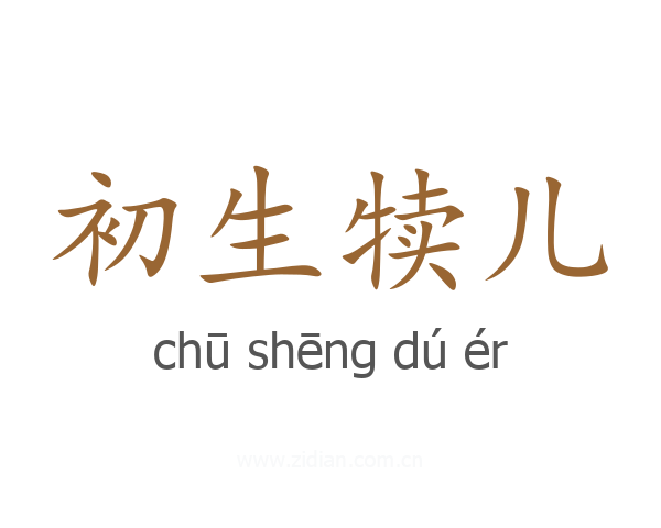 初生犊儿