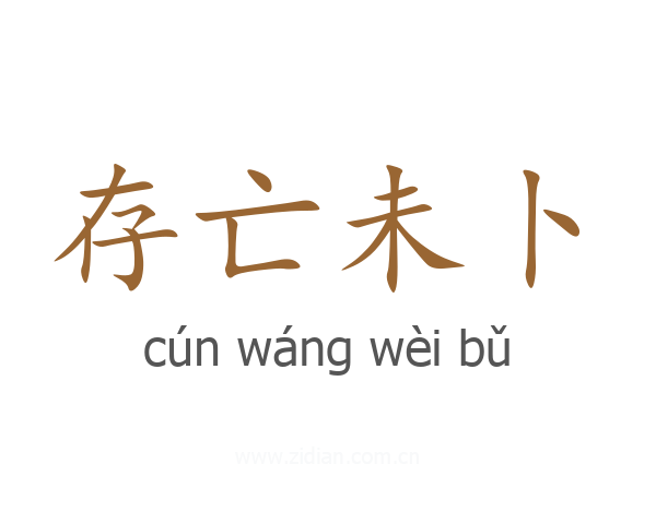 存亡未卜