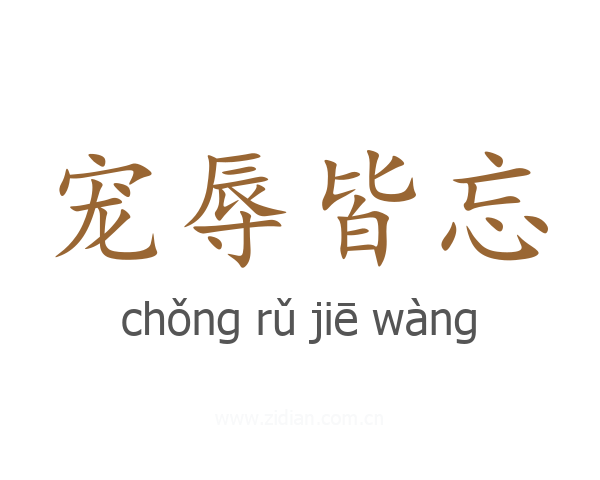 宠辱皆忘