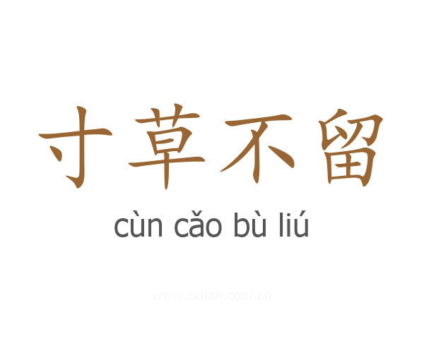 寸草不留