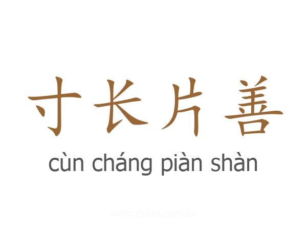 寸长片善