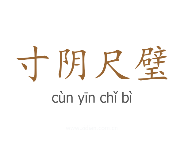 寸阴尺璧