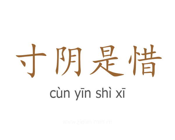 寸阴是惜