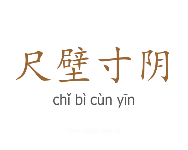 尺壁寸阴