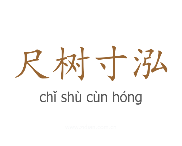 尺树寸泓