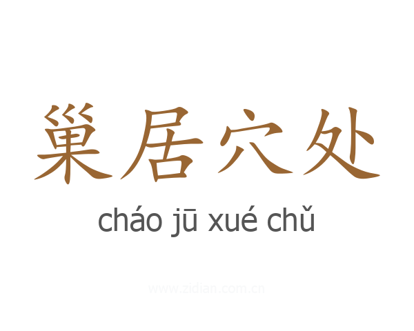 巢居穴处